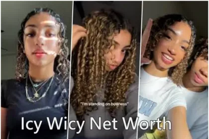 Icy Wicy Net Worth
